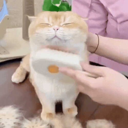 Escova confortável para cães e gatos